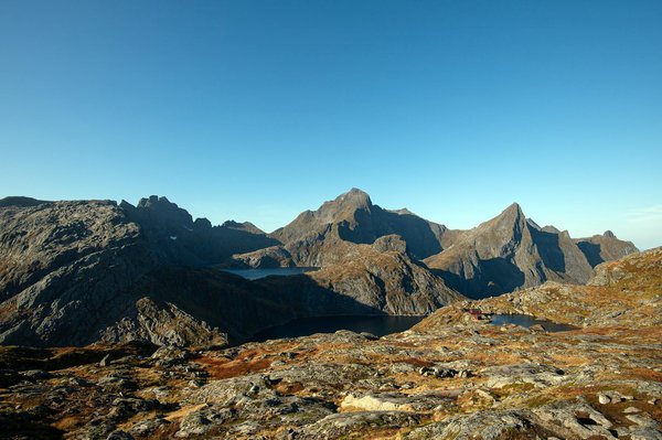 Glamping en france : une expérience unique au cœur de la nature